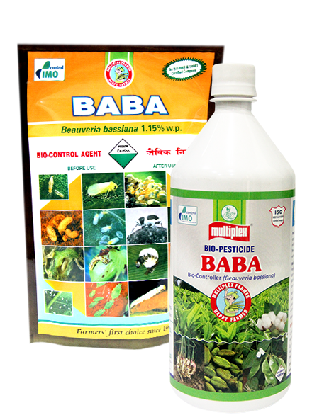 uploads/images/prod/Baba.png
