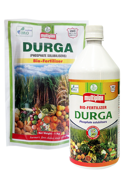 uploads/images/prod/Durga.png
