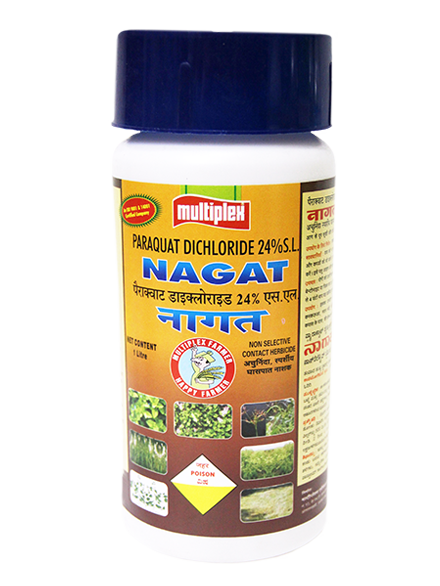 uploads/images/prod/Nagat.png