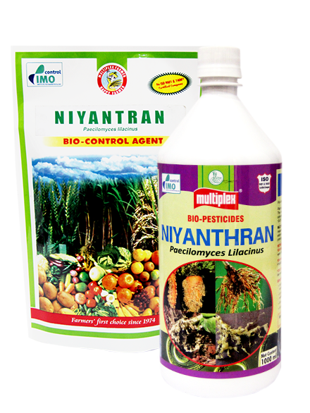 uploads/images/prod/Niyanthran.png