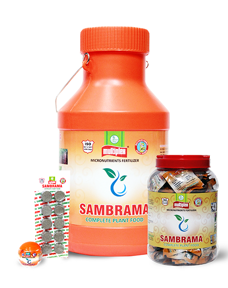 uploads/images/prod/Sambrama.png
