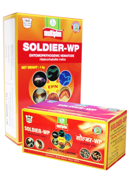 uploads/images/prod/Soldier.png