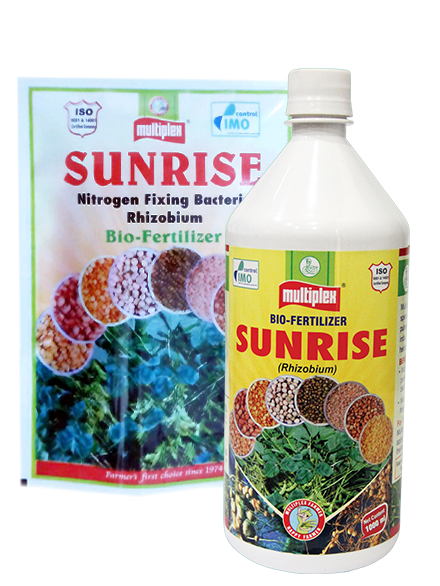 uploads/images/prod/Sunrise.png