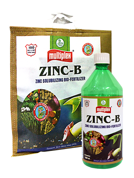 uploads/images/prod/Zinc-B.png